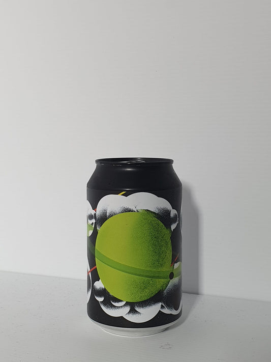 Ritual Lab Gose Lime E Ribes 33cl