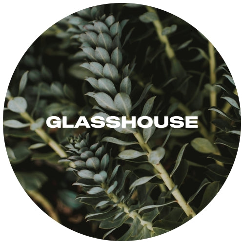 GlassHouse Myrtle NEIPA