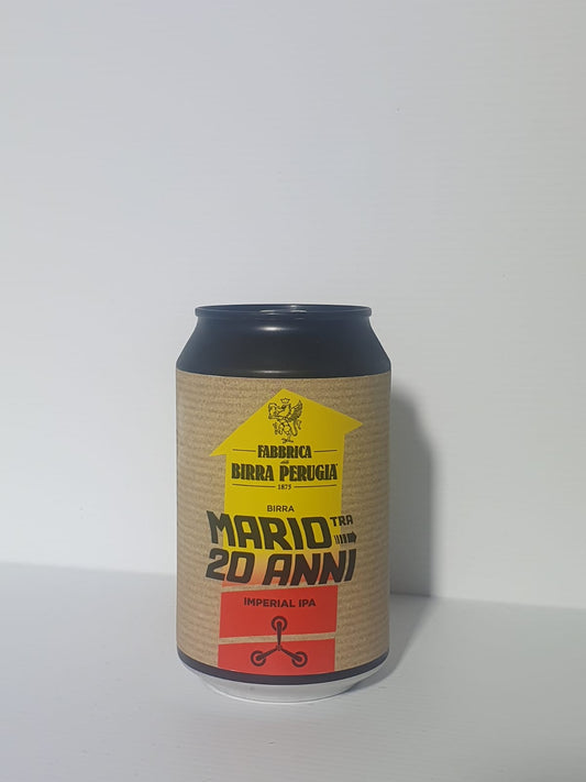 Mario Tra 20 Anni